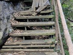 -午潮山国家森林公园