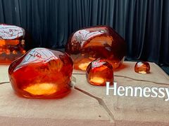 -精绝七日-新疆尼雅遗址数字大展【拉法耶文化艺术中心】