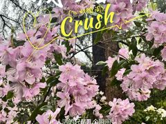 -杭州植物园