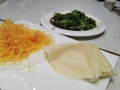 -丁老爷子苏香圆