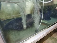 -九和鸿禧饭店