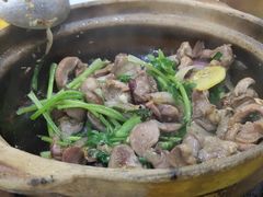 -汤氏美食台山水步特色黄鳝饭(龙津东路店)