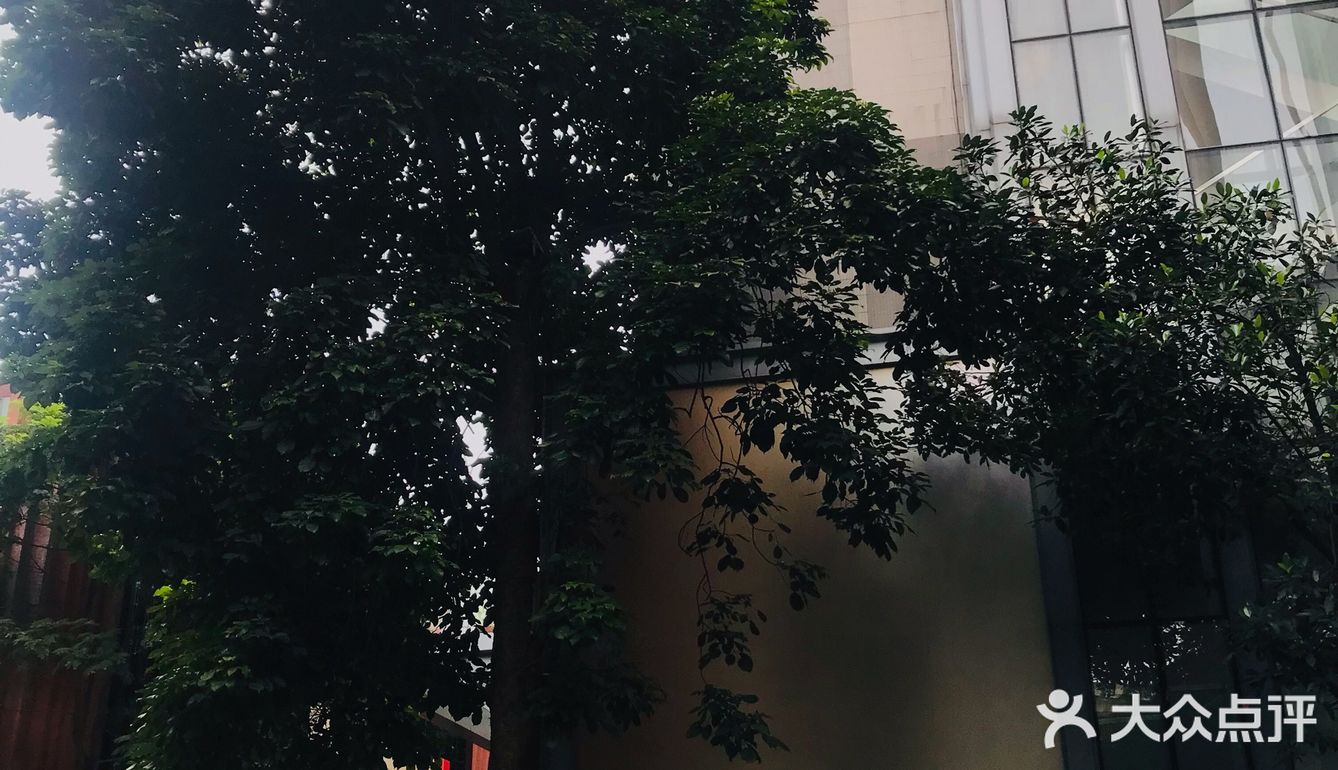 188元吃到爽的白云山下海鲜自助餐