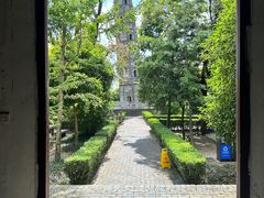 -上海佘山国家森林公园天马山园