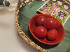 -假装苏杭·迎春花与梅(陆家嘴中心店)