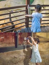 -酷嗒动物文化乐园(cutezoo西溪乐天城店)