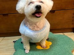 -天宠宠物医院24小时·急重症诊疗中心·全科·腔镜特色(和平分院)