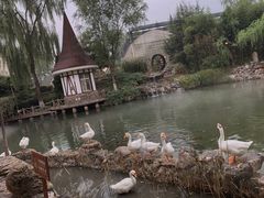 -天毓山庄·餐厅