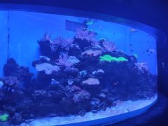 -多彩贵州城极地海洋世界