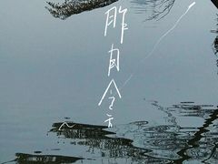 -海珠湖公园
