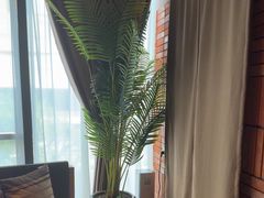 -泰合玺·精油疗愈SPA(狮山天街生活广场店)