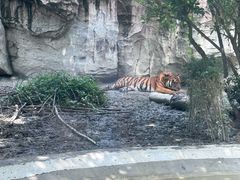 -成都动物园