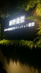 点击看大图 -藤野造型