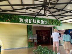-亚龙湾国际玫瑰谷