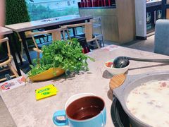 -采椰郎椰子鸡·脆皮鸡火锅(融创茂店)