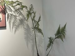 -漫笙舍Manse·咖啡·民宿