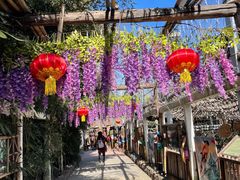 -呀路古热带植物园