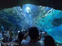 -华夏文旅海洋公园