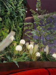 -花隐·美芙炫海菲秀皮肤管理中心