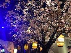 -绿茶餐厅(松江万达店)