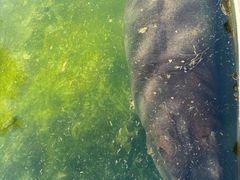 -鄂尔多斯野生动物园