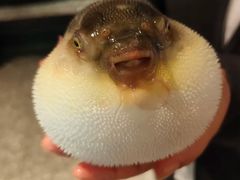 -永安鱼庄·镇江菜(东吴路店)