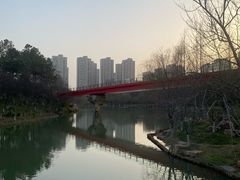 -青枫公园