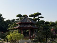 -南宁南湖公园
