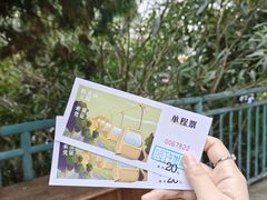 -黔灵山公园