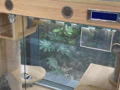 -鼎级派宠物(中南店)