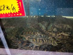 -蚝专家(北滘店)