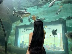 -福州罗源湾海洋世界旅游区
