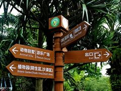 -广东茂名森林公园