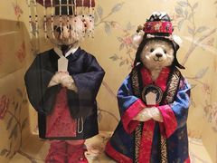 -济州岛泰迪熊博物馆