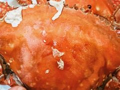 -北塘海鲜·天津菜(大光明桥旗舰店)