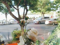 -野菌皇海景野生菌火锅(滨海大道店)
