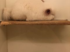 -龙猫仔乐园(惠福东路店)