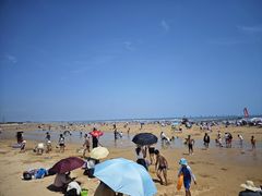 -日照海滨国家森林公园
