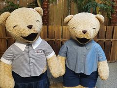 -济州岛泰迪熊博物馆