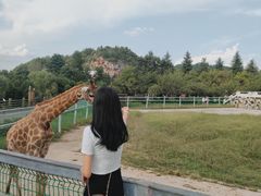-贵州森林野生动物园