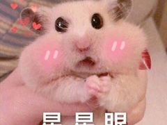 -金逸影城(荟聚IMAX激光店)