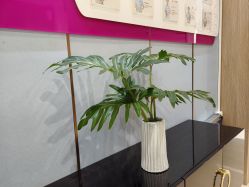 -禧月荟·爱丽馨月子中心(山庄店)