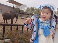 -鄂尔多斯野生动物园