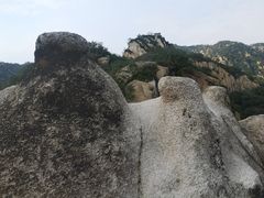 -大岭沟猕猴桃谷风景区