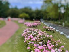 -塔子山公园