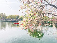 -无锡蠡湖国家湿地公园-蠡园