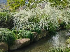 -中国茶叶博物馆(双峰馆区)