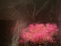-足本纪·足道 SPA 简餐 小吃(百官广场店)