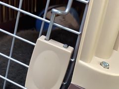 -联合动物医院(光谷诊疗中心)