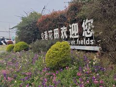 -空港花田景区